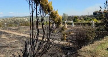 VIDEO/ Shuhet plotësisht zjarri në Drizë, një i arrestuar