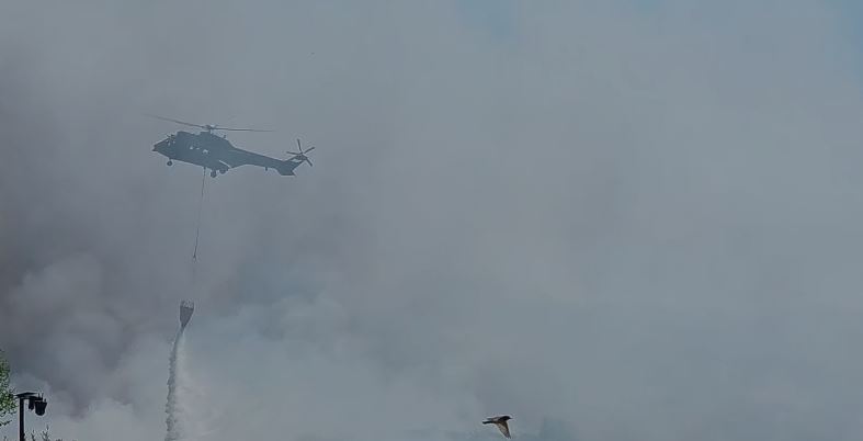 VIDEO  Fier  ndërhyhet nga ajri  Flakët në Drizë  zjarrfikës nga Patosi  Fieri e Roskoveci  në luftë  me flakët
