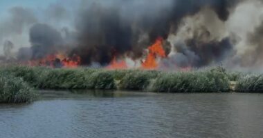 VIDEO/ Zjarr i përmasave të mëdha në plazhin e Talës, flakët përhapen me shpejtësi
