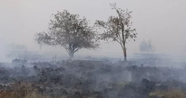 Zjarri më i madh në dekadat e fundit përfshin Belgjikën, evakuohen banorët