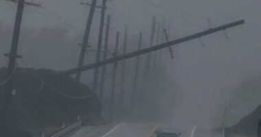 VIDEO/ Uragani “Lala” godet Hawaiin, mbi 100 mijë banorë mbeten pa energji