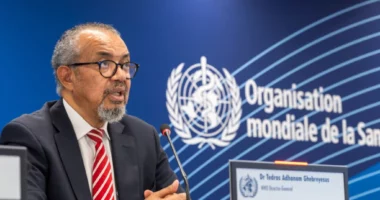 OBSH: Korporatat e ushqimit ultra të përpunuar pengojnë përpjekjet për të trajtuar krizën e obezitetit
