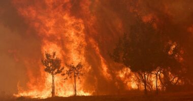 Zjarri në Spanjë/ Urdhër evakuimi në Valencia, flakët pranë banesave