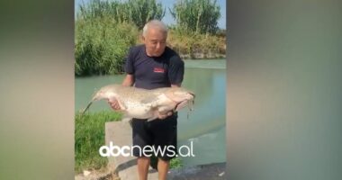 “I dyti me përmasa të tilla në 40 vite”/ Peshkatari 71-vjeçar kap krapin 21.5 kilogramë: Kampioni i Vjosës