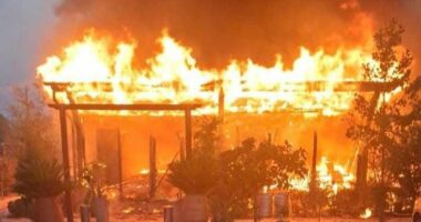 Flakët shkrumbojnë agroturizmin në Sarandë