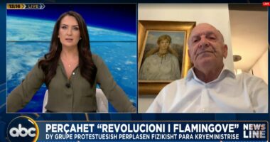 Përçahet “revolucioni i flamingove”/ Leka: Protesta ka degraduar, u kthye në përplasje mes klaneve