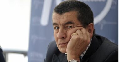 Ish-prokurori i Hagës, Nice: Mlladiç vdiq, por pyetja kryesore për Srebrenicën mbeti pa përgjigje