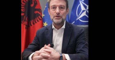 “Shteti shkon pranë qytetarit”, Hoxha njofton ngritjen e Pranisë Diplomatike Virtuale: Rritje e cilësisë dhe shpejtësisë së shërbimit