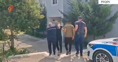 Vidhnin në bizneset e Peqinit dhe Elbasanit, arrestohen dy persona