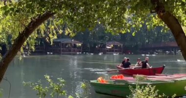 Driloni i mjellmave dhe freskisë/ Oazi natyror në Pogradec vizitohet nga shumë turistë