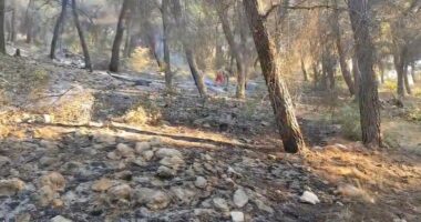 Zjarri në Panahor të Mallakastrës, vatra ende aktive. Zjarrfikësit në terren