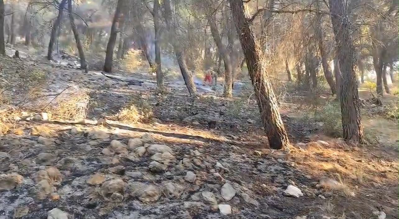 Zjarri në Panahor të Mallakastrës, vatra ende aktive. Zjarrfikësit në terren