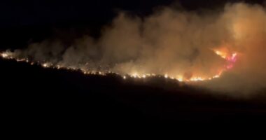 VIDEO/ Zjarr në Qishbardhë të Vlorës, era e fortë favorizon përhapjen e flakëve