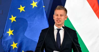 Magyar: BE duhet të vendosë nëse dëshiron vetëm të mbijetojë apo të fitojë