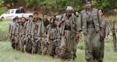 Paqe midis Turqisë dhe PKK-së kurde/ Turqia paraqet projektligjin për riintegrimin e militantëve