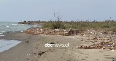 Gjendet një trup i dekompozuar në grykëderdhjen e lumit Seman, dyshimet e para të grupit hetimor