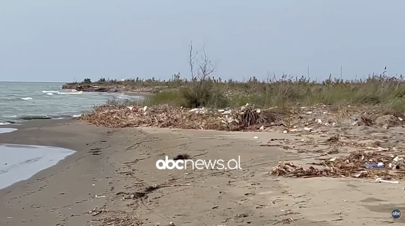 Gjendet një trup i dekompozuar në grykëderdhjen e lumit Seman, dyshimet e para të grupit hetimor