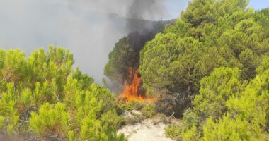 Zjarri në Mallakastër, ndërhyhet nga ajri për shuarjen e flakëve