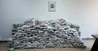 Trafik droge nga Shqipëria në Turqi, kapen në Greqi 324 kg marijuanë/ Arrestohen dy persona