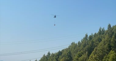 Zjarr në Milot, përfshihet nga flakët masivi pyjor/ Në vendngjarje zjarrfikësit dhe një helikopter