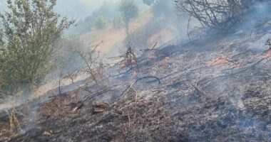 Zjarr në Plovisht të Korçës, flakët nën kontroll