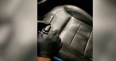 Kontrolle intensive për goditjen e armëmbajtjes pa leje/ Fier, arrestohen tre persona