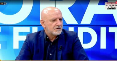 “Berisha ka marrë peng PD”/ Bejko: Ktheu partinë në shërbim të tij. Opozita pa vizion për zgjedhjet