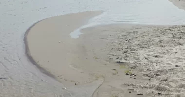 Niveli i Danubit vazhdon të bjerë, kufizimet e lundrimit mbeten në fuqi