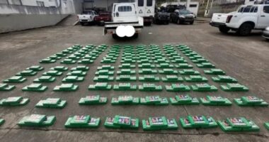 ‘Haaland’ në pako kokaine/ Policia në Ekuador sekuestron 453 kilogramë drogë