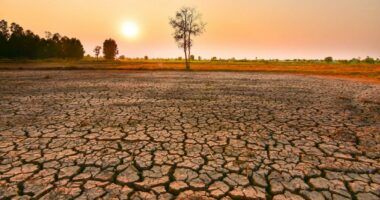 “El Nino” godet motin dhe… xhepat/ Fenomeni klimatik, dëme në ekonominë globale