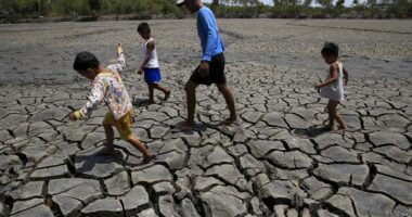 Parashikimi i frikshëm për 2027, 50 milionë njerëz drejt urisë akute për shkak të fenomenit El Niño