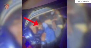 Dy operacione në aksin Librazhd–Elbasan/ Arrestohen tre persona, transportonin 24 emigrantë të paligjshëm