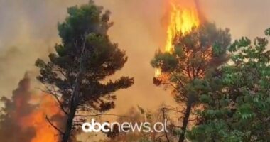 Zjarri në Mallakastër/ Flakë në fshatrat Ngraçan dhe Drenie, ndërhyrje nga ajri me helikopter