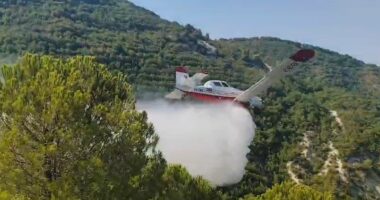 Mallakastër/ Zjarri në fshatin Riban merr përmasa të mëdha, rrezikohet masivi pyjor