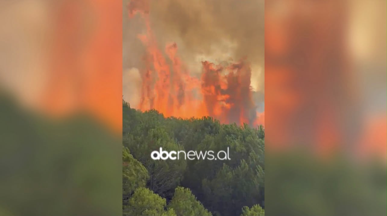 Zjarri në Riban del jashtë kontrollit/ Era favorizon përhapjen e flakëve, rrezikohen banesat