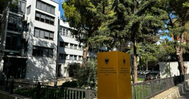 Kërkohej nga Turqia, u arrestua në Rinas/ Gjykata cakton masën arrest me burg për 32 vjeçaren turke
