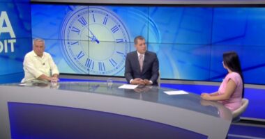 Ku po shkon protesta? Beqiri: U kap nga agjentuarat e huaja dhe Saliu! Balliu: Berisha e ka kthyer PD në pronë private