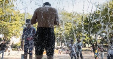 Rreth 10 mijë të vdekur nga temperaturat ekstreme në Gjermani