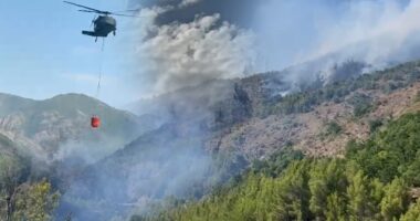 Helikopterë dhe efektivë vijojnë “luftën” me flakët/ Nufi: Situata në monitorim të vazhdueshëm