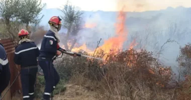 Tri ditë zi kombëtare pas zjarreve shkatërruese me 12 viktima në Algjeri