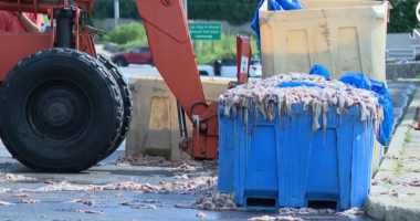 VIDEO/ Mbi 20 ton kallamarë në asfalt, kamioni përmbyset në Rhode Island, rruga mbyllet për orë të tëra