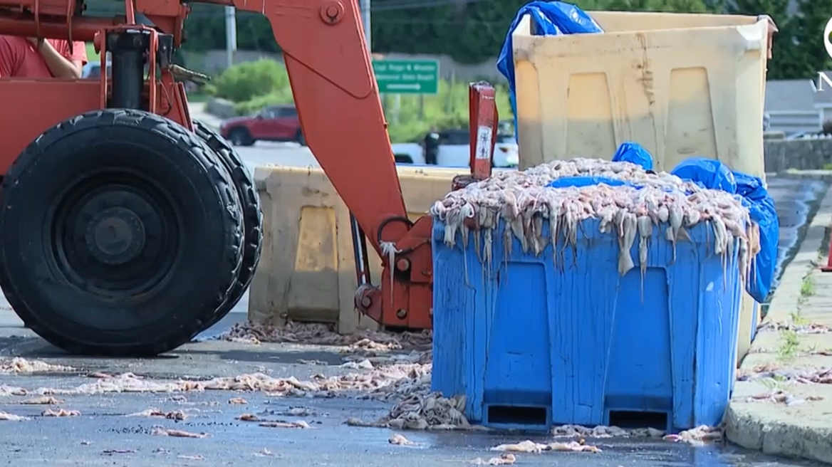 VIDEO/ Mbi 20 ton kallamarë në asfalt, kamioni përmbyset në Rhode Island, rruga mbyllet për orë të tëra