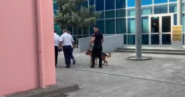 Alarm për bombë në SPAK dhe GJKKO/ Garda e Republikës nis kontrollet me qen antidrogë
