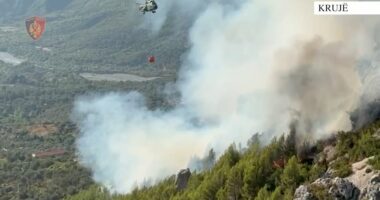 Ndezi zjarr për të djegur barin, flakët përfshijnë malin e Krujës, arrestohet 73-vjeçari