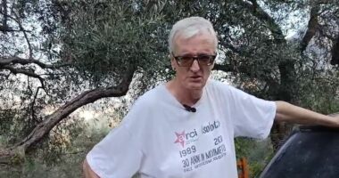 “Nuk e di si kemi shpëtuar!”, banori në Krujë: Mu dogjën 250 rrënjë ullinj dhe pemë