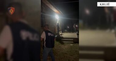 Kapet në Krujë 40-vjeçari, i dënuar me 4 vite burg për kultivim të bimëve narkotike
