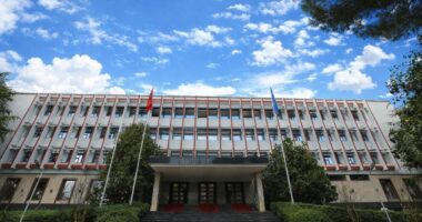 Përfundon riatdhesimi nga Siria/ Kthehen në Shqipëri 5 shtetas, gra dhe fëmijë