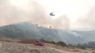 Vlora, më pak zjarre/ Zjarrvëniet e qëllimshme, 24 të ndaluar dhe proceduar penalisht