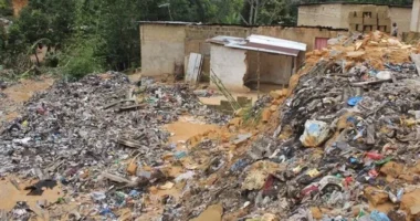 Rrëshqitje dheu në Guine, 30 të vdekur dhe 22 të plagosur