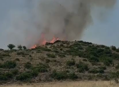 Zjarr në Nivicë  digjen bimësi dhe shkurre  Era favorizon përhapjen e flakëve